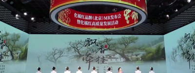 化宝堂：化橘红品牌（北京）MR发布会暨化橘红高质量发展活动